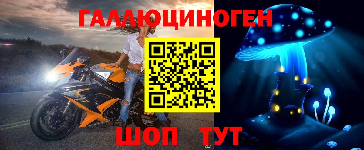 Псилоцибиновые грибы Psilocybine cubensis Протвино