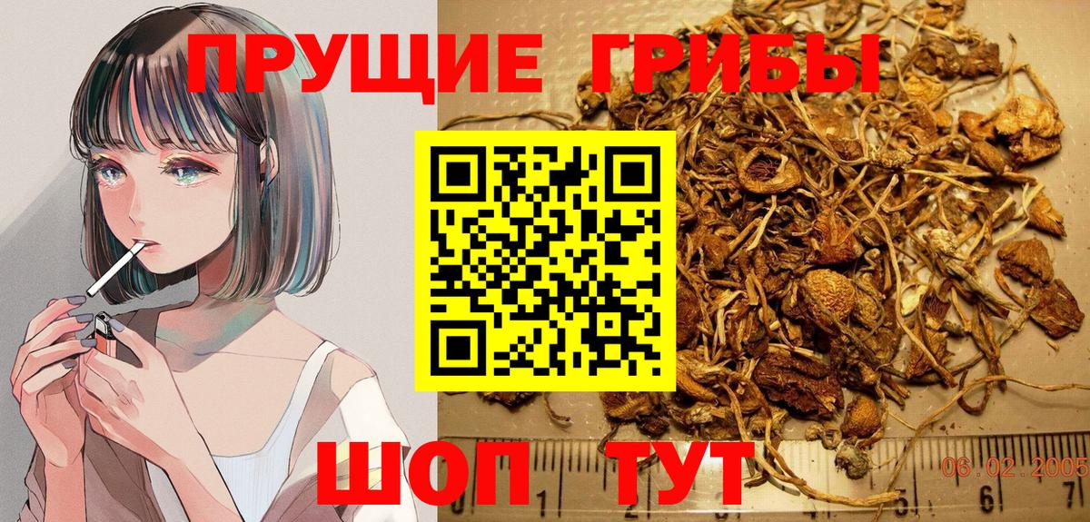 Протвино  Галлюциногенные грибы прущие грибы  Вход с VPN 